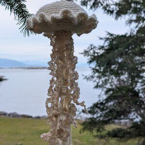 Crochet Critters of the Salish Sea